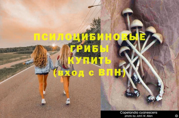 a pvp Кукмор
